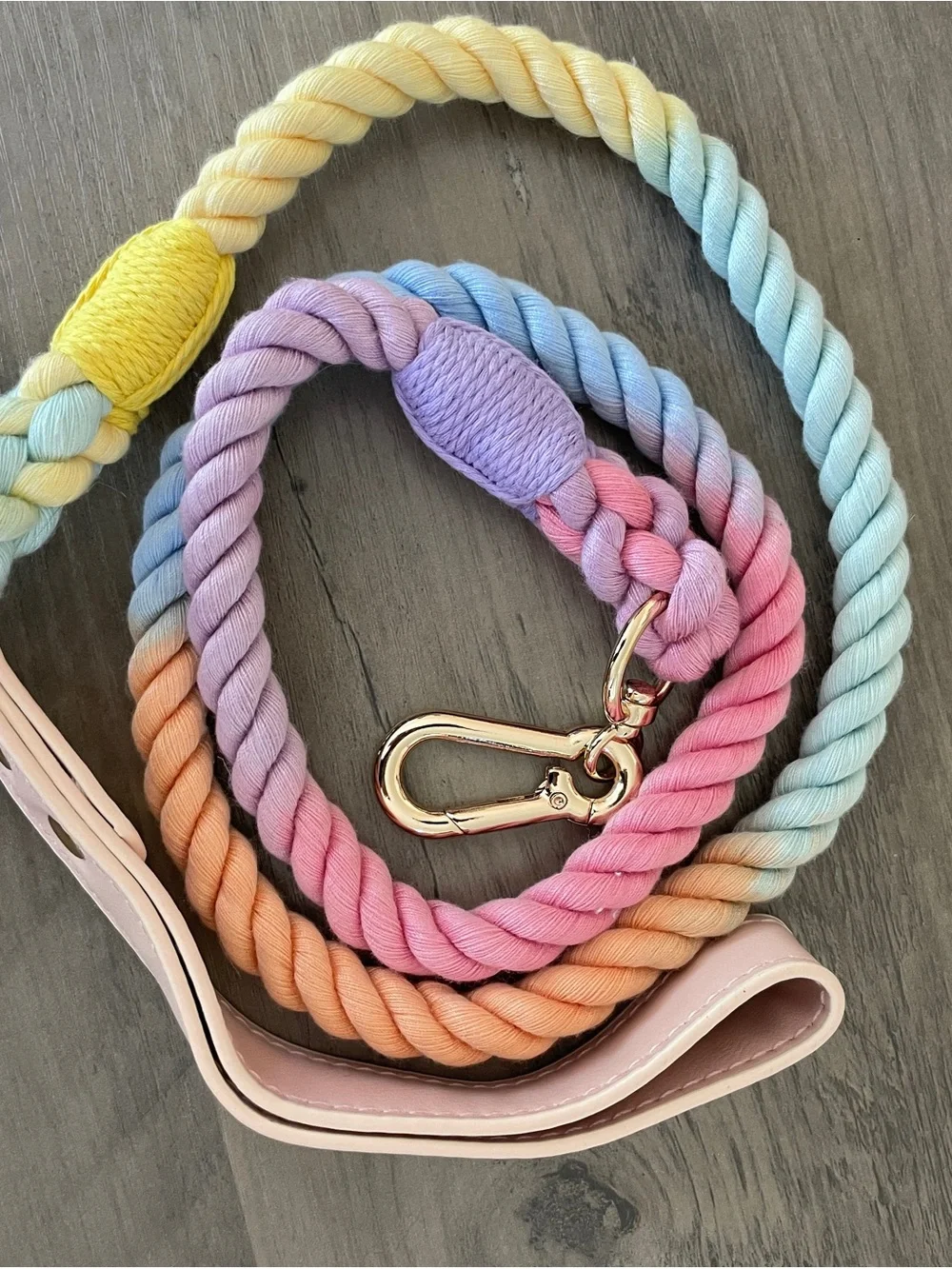 Pastel Rainbow Rope Dog Leash with Gold Hardware